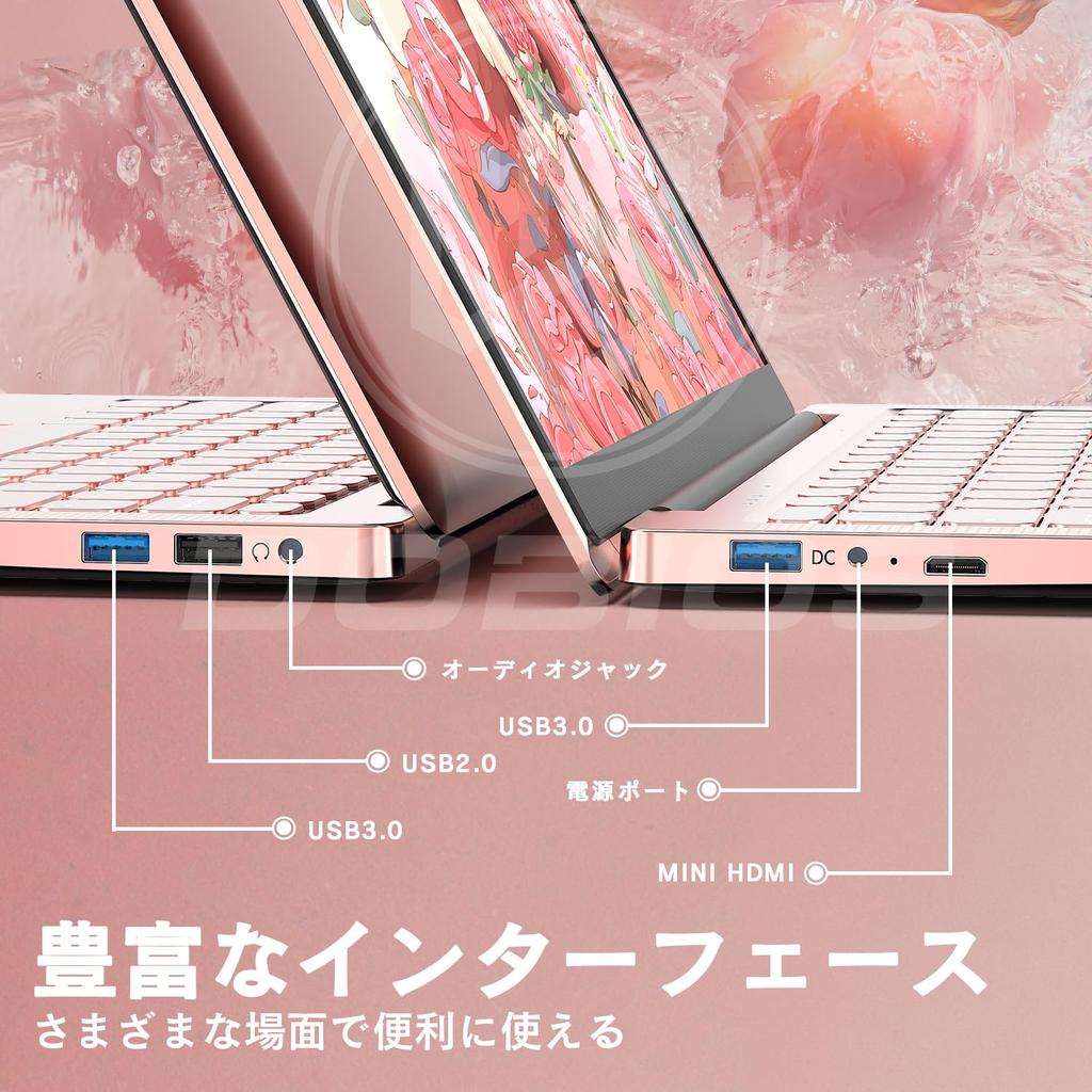 Dobios Laptop with Office 2019 and Windows 11 Ideal for Features a Celeron N4000 a IPS Angle USB Bluetooth and a Japanese Ideal for Working from and