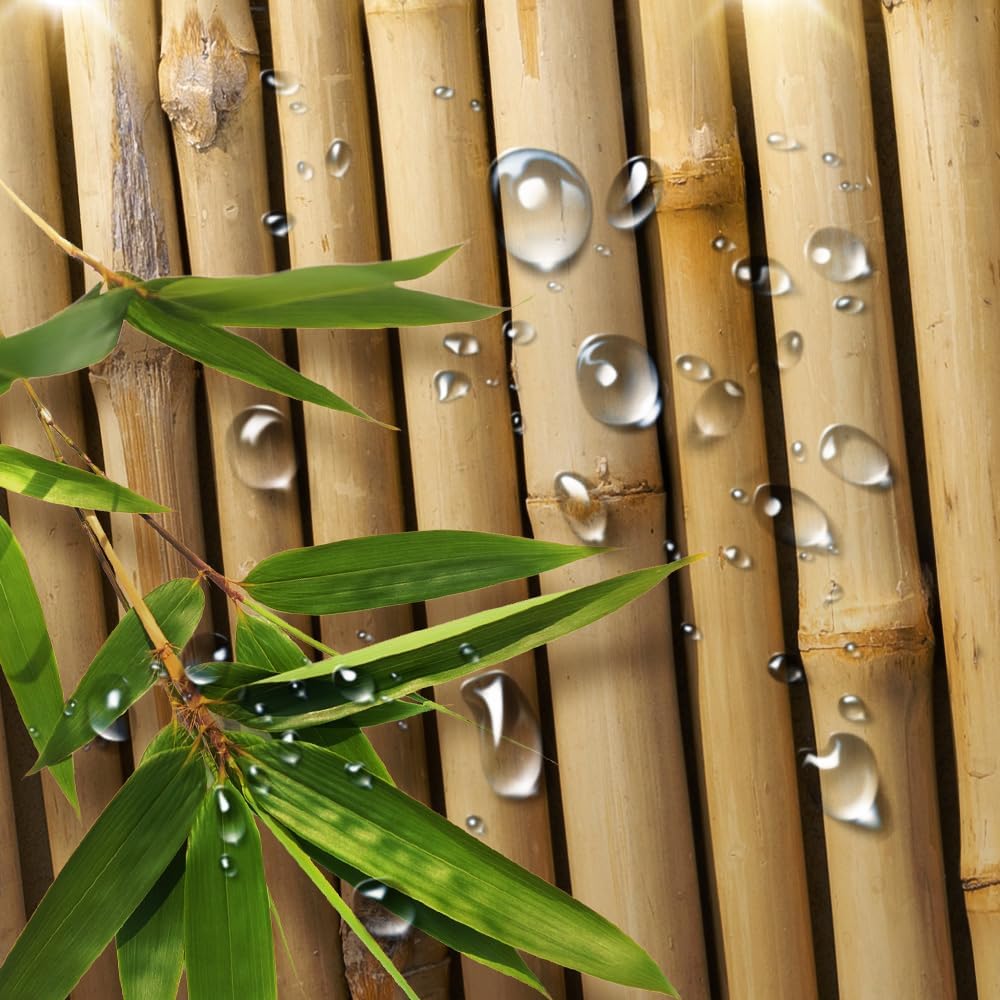 Tenda da Doccia in Bambù, Set Tenda da Doccia Giapponese 3D per Bagno, Natura Zen Con Luci Tenda da Doccia in Tessuto Toilette Vasca da Bagno
