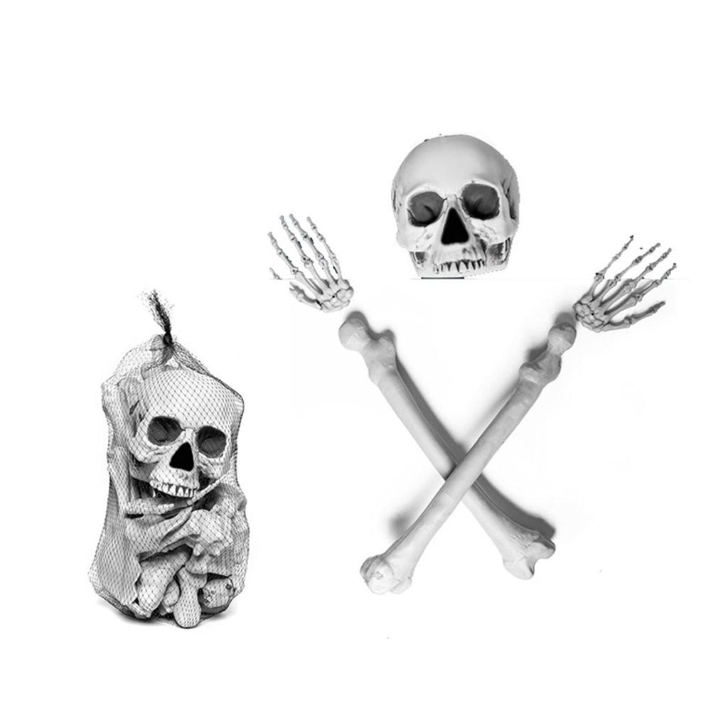 Theme Party Props, Party Decorations, Human Skeletal Anatomy Decorations