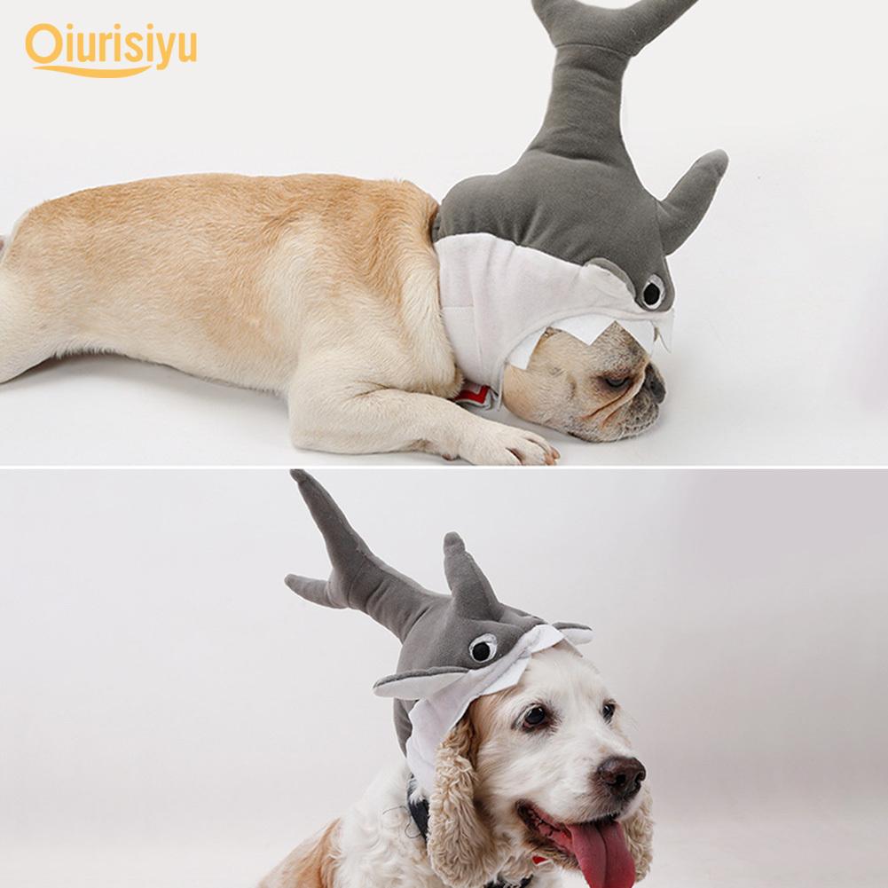 dog shark hat