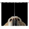 Curtains Cute Art Dog 3D Digital Printing Blackout Curtain Punching