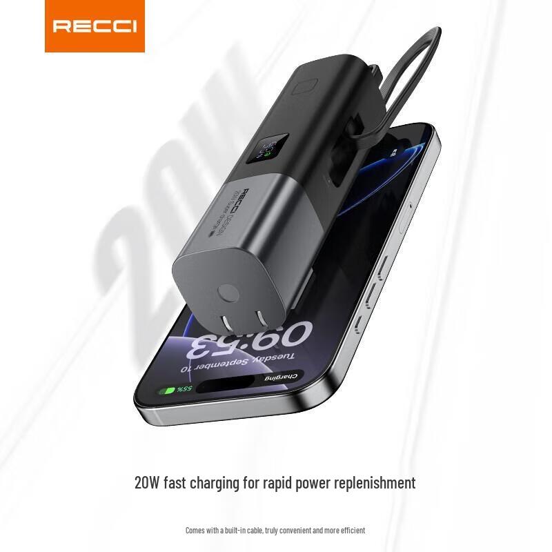 Ruisiruis Fast Charge Power Bank