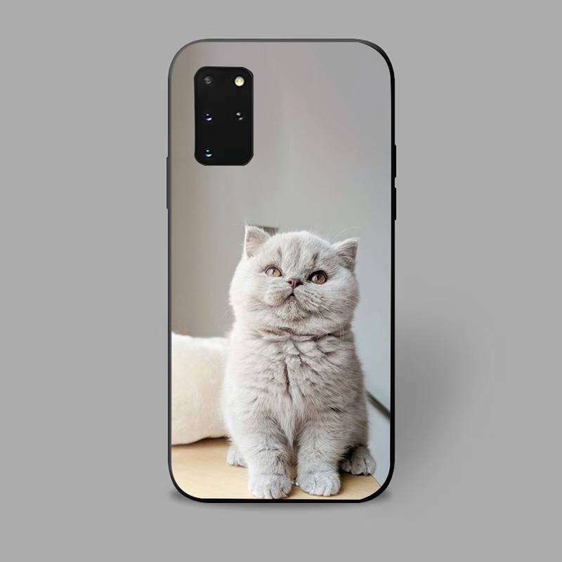 Gray Cat Phone Case For iPhone Samsung Galaxy Redmi Xiaomi Oppo OnePlus Note S A 7 8 9 10 11 12 13 14 20 21 22 23 53 54 Pro Max Plus Ultra TPU Soft