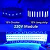 20PCS/lot Multicolour 12V 220V COB Light Led Modules Three Types Backlight Shop Banner Waterproof IP65 Advertising Decorations