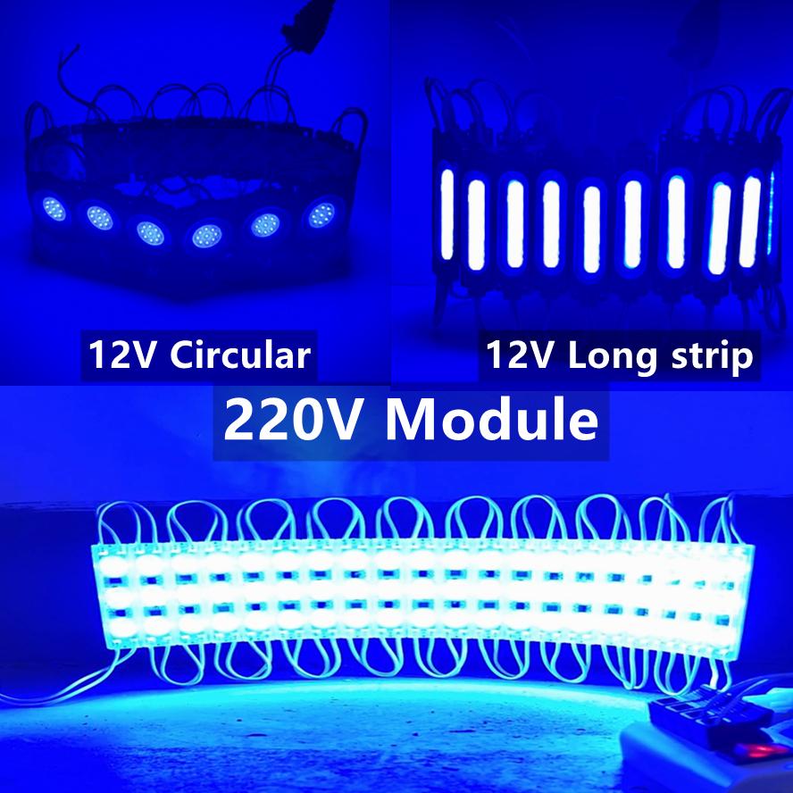 20PCS/lot Multicolour 12V 220V COB Light Led Modules Three Types Backlight Shop Banner Waterproof IP65 Advertising Decorations