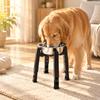 Sturdy Dog Feeding Station Long-Lasting Adjustable Elevated Pet Stand