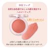 Blend Berry Face Gloss 002 Cheek and Face Color by KOSE (Fig)