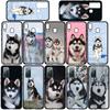 Bella Copertina per Telefono Divertente con Cane Husky per Samsung Galaxy S25 Pro S23 S22 S24 FE Ultra S10 Plus A05 A06 A15 A16 A26 A35 A36 Custodia