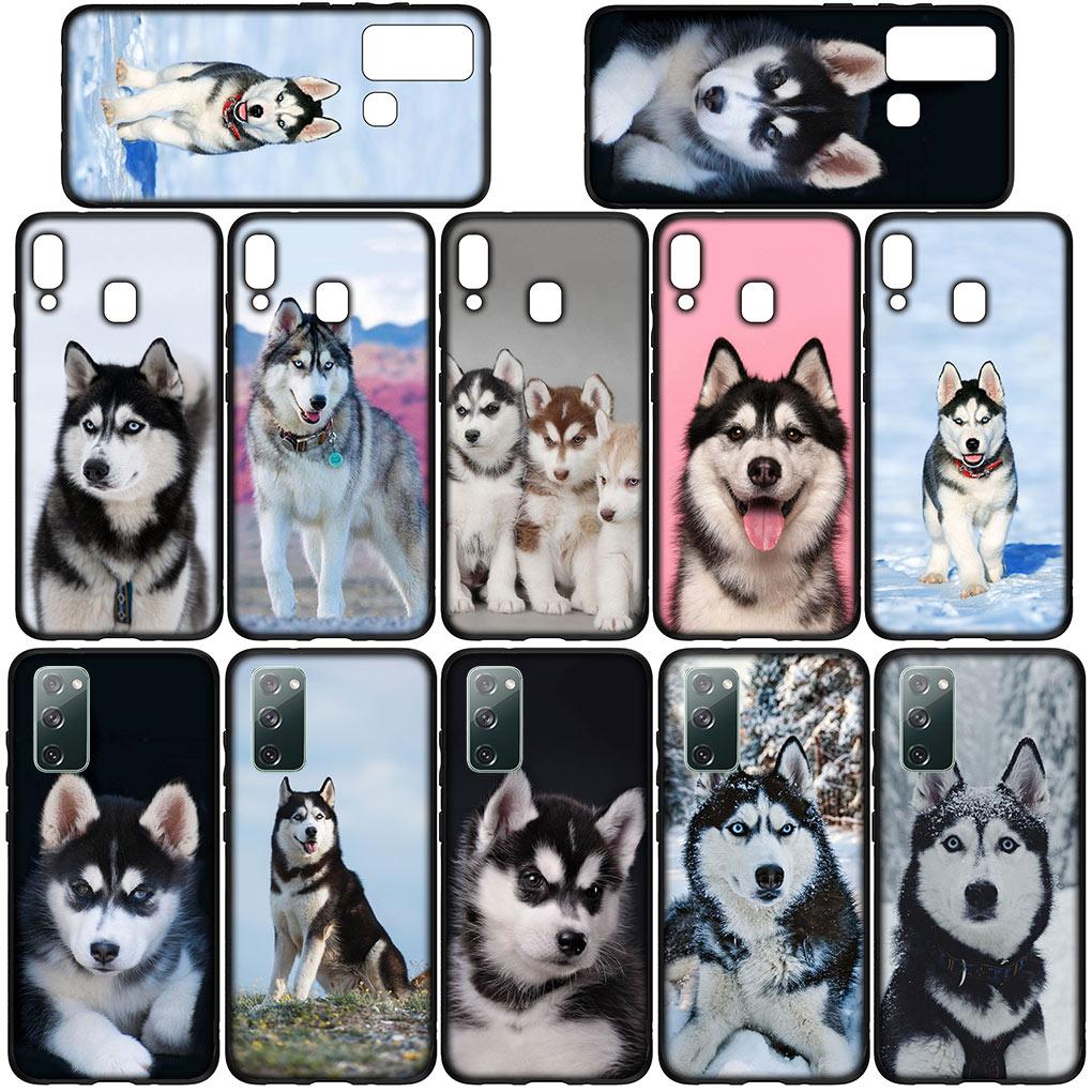 Bella Copertina per Telefono Divertente con Cane Husky per Samsung Galaxy S25 Pro S23 S22 S24 FE Ultra S10 Plus A05 A06 A15 A16 A26 A35 A36 Custodia