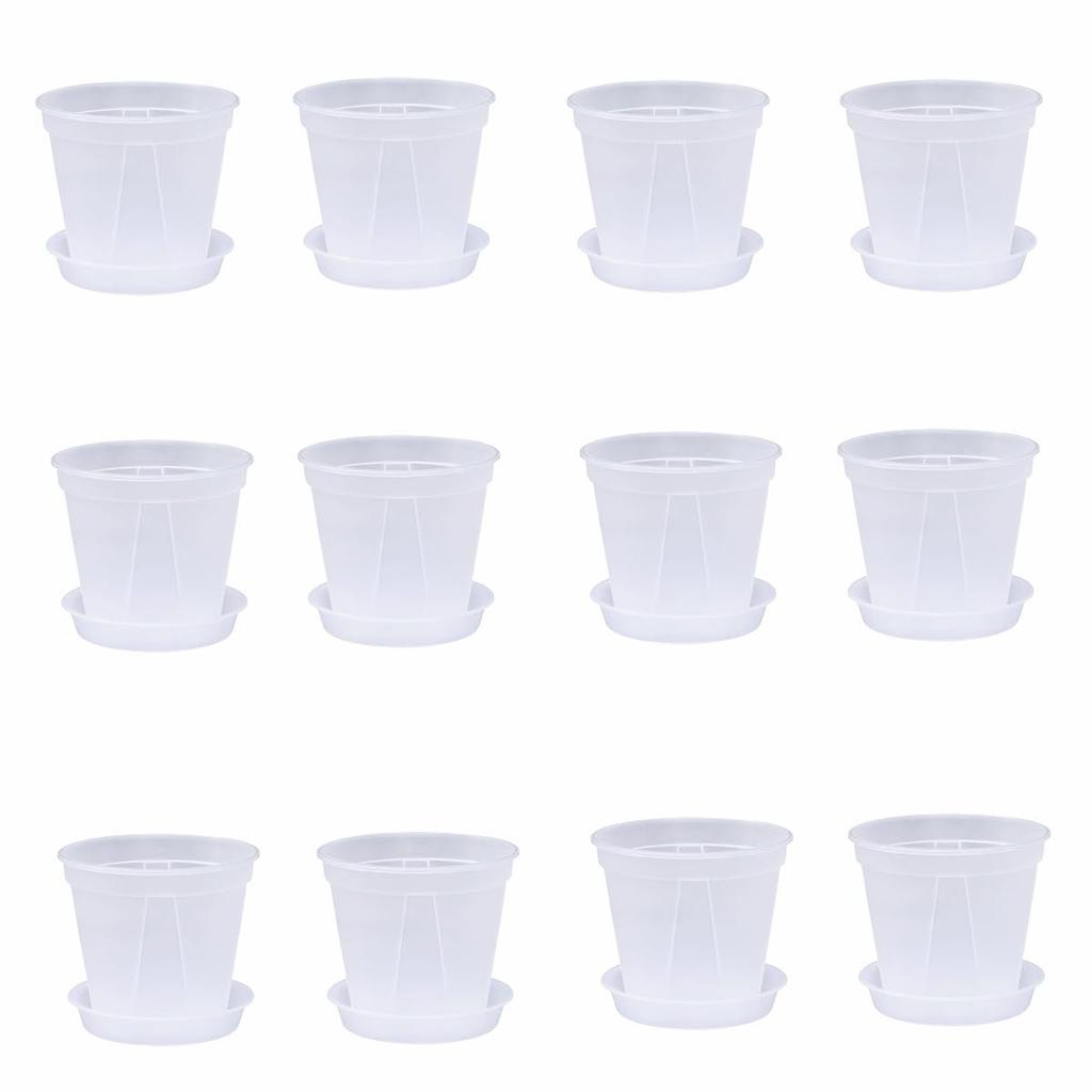 12 Pieces Yen In 3 Clear Plastic Plant Pots with Bottom Plates (365 Each) (Available Sizes) (Medium)
