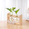 Wood & Glass Hydroponic Bottle - Simple Modern Home Decor