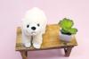 Step snow S polar bear