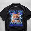 What The Sigma Cat T-shirt, Funny Meme, Ugly Shirt, Funny Gift Shirt, Meme Tee, Dark Humor, Brain Rot, Cringe Shirt, Sigma Shirts