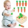 Montessori Toys for 1 Year Baby Pull Carrot Set Game Kids Wooden Toy Shape Sorting Matching Puzzle Educational Toys for Children