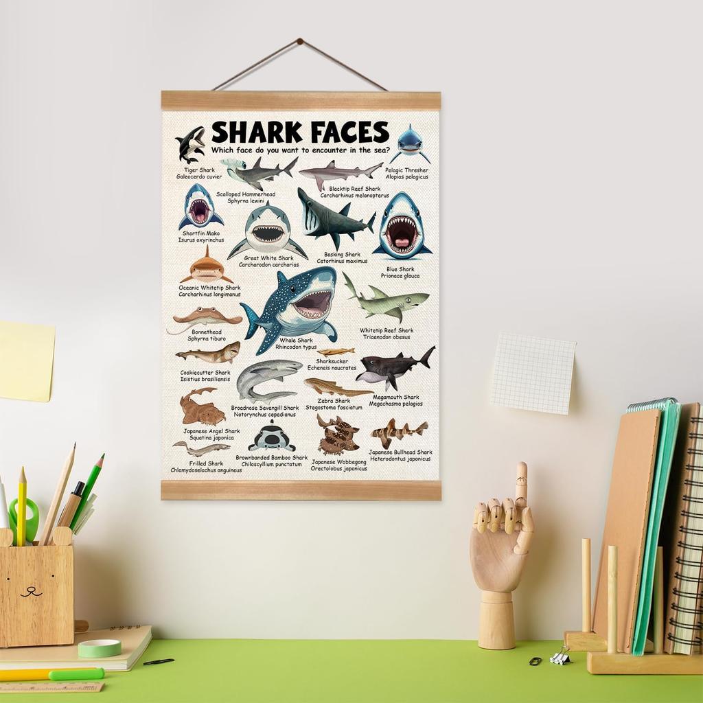 ZTGDA Shark Faces Posters, Sea Animals Sharks Posters Wall Art,Marine Sharks Decor,Ocean Educational Poster for Kid Classroom Decorations Kids Room
