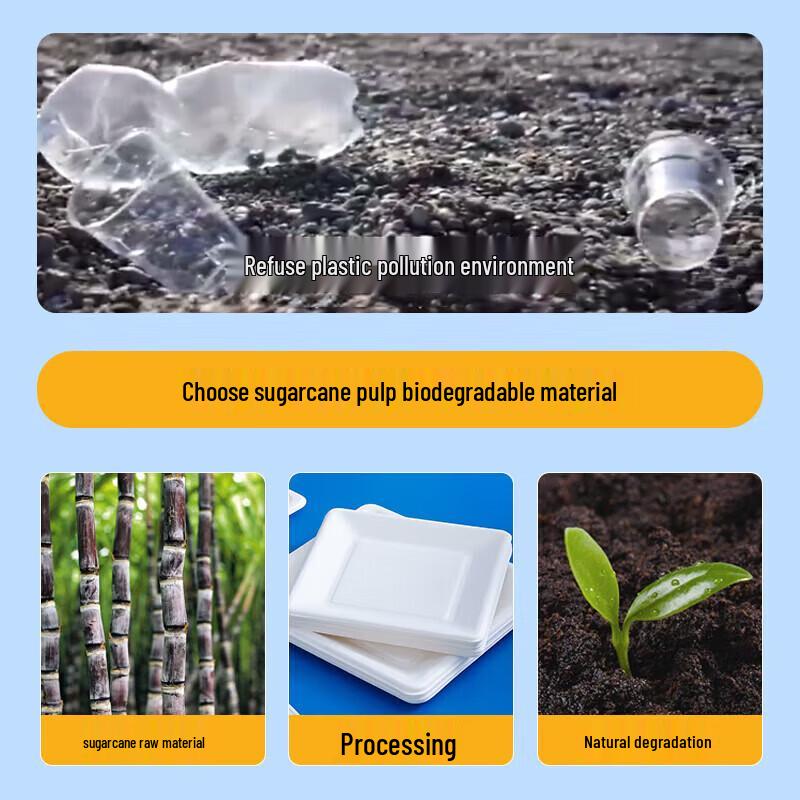 Biodegradable Disposable Round Paper Plates