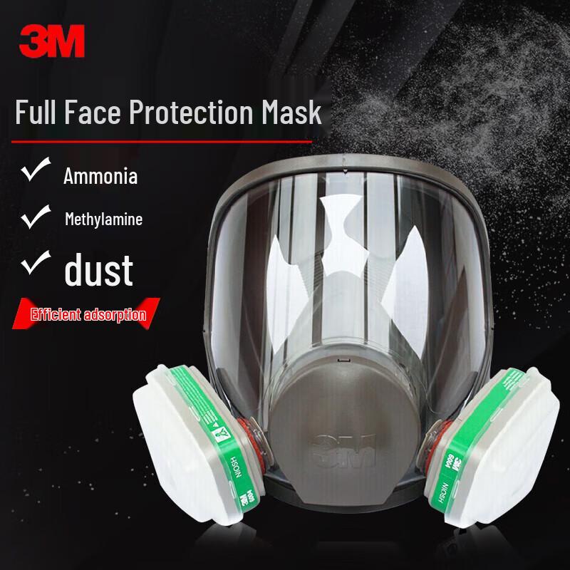3M 6800 Full Face Respirator Mask with 6005 Filters