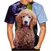 Kawaii Poodle Dog 3D Print Animal T-shirts Men Woman Fashion Streetwear Short Sleeve T Shirt Harajuku Tops Tees Kids Clothing