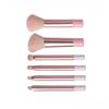 6pcs Soft Eyeshadow Powder Brush Cosmetic Tool Cosmetic Brush Set Fashion Makeup Brushes Set  Travel
