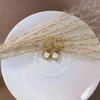 Artistic Gold-Plated Square Earrings: High-End Titanium Stainless Steel, Versatile Shell Design for Women.