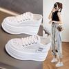 Muffin Net Shoes Women's Mesh Surface Hollowed Out, Light and Thin Autumn New Thick-soled Lace Inner Height Increase Women