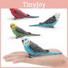 Realistic Bird Model Pvc Parrot Decorative Figurine For Kids Learning And Display