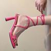 French Niche Thin Fairy Style High Heels 2025 Summer New Popular Cross-strap Thick Heel Sexy Sandals