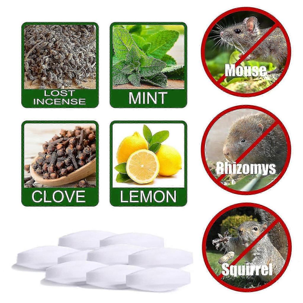 60x Peppermint To Repel Mice Natural Mouse Repellent Ball Natural Peppermint Oil Mouse And Rats Repellent Rodent Repellent With Bag_Lucky_B