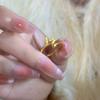 Vietnam Gold Fishtail Adjustable Ring - Elegant Hand Jewelry, Perfect Birthday Gift for Girlfriend