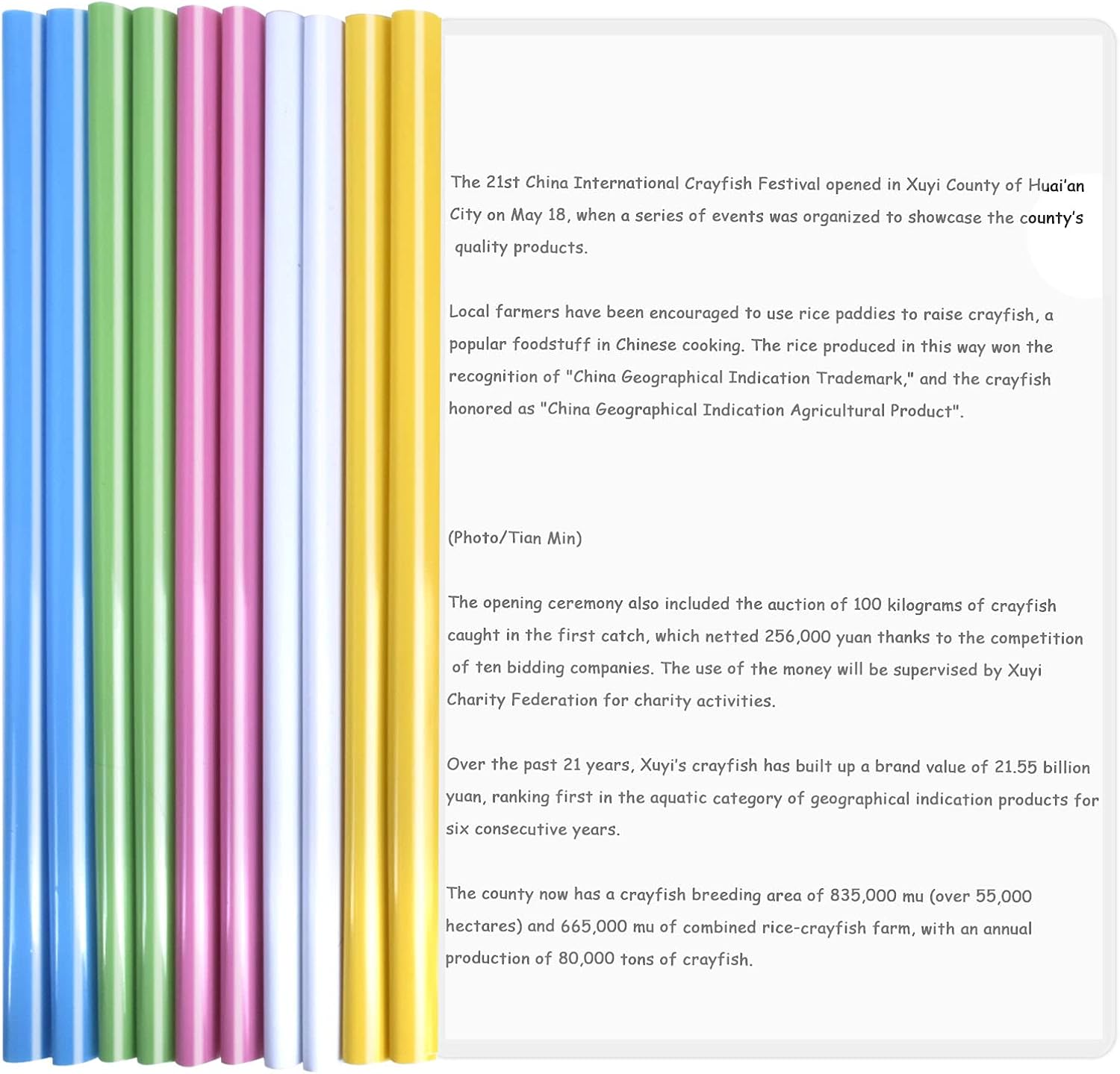 Pack of 10 Transparent A4 Sliding Bar Binder, File Folder Binder, Plastic Report Covers, Sliding Folder, Multifunctional Folder