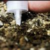 Handlicher Samenspender, Mini-Manuelle Sämaschine für Gartenpflanzung, Blumentopf & Gartenbeet Essentielle Gartenbedarf