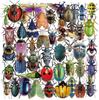 PET Transparent Insect Realistic Nature Decals for DIY Water Phone Laptops 50-Pack Stickers, Waterproof, Scrapbooks, Crafts, Albums, Journals,