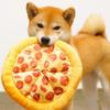 Giocattolo Peluche Pizza Ecologico Durevole Con Suono BB Carino Interattivo Per Denti E Allenamento Per Cani Gatti Cuccioli Gattini Fornitura