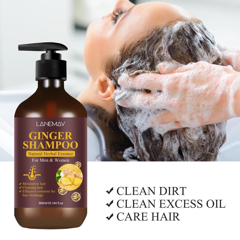 Shampoing au gingembre : nettoie et hydrate efficacement les cheveux, renforce et nourrit les cheveux, réduit les pointes fourchues et la casse, 300 ml