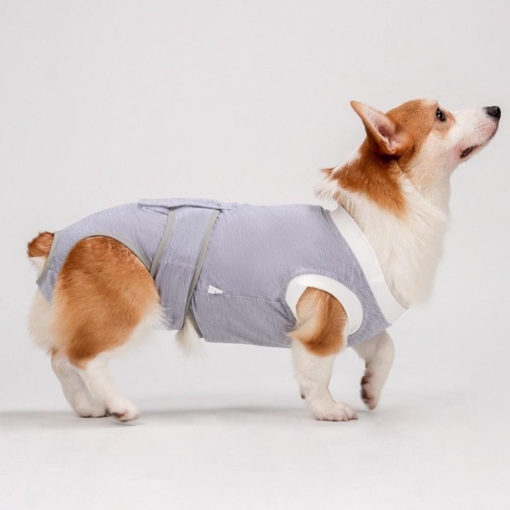 Anti-Licking Pet Physiological Pants Adjustable Dog Recovery Suit  Daily Wear