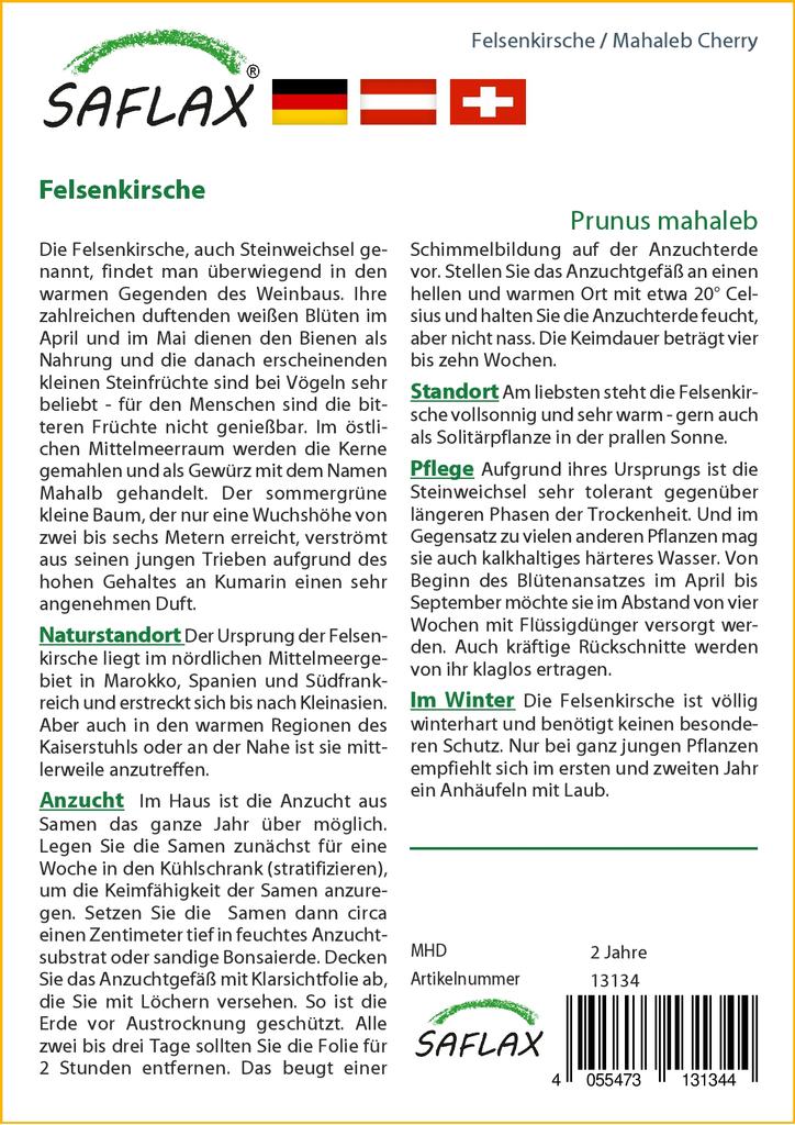 SAFLAX Mahaleb Cherry - 30 Seeds - Prunus Mahaleb