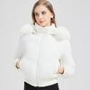 Winter New Fur Collar Casual Versatile Cotton Clothes Hooded Short Thermal Cotton-padded Clothes Thickened Fashion Jacket