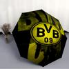 BvB 09 Fashionable Automatic Opening/Closing Folding Umbrella. Portable and Foldable, Ideal for Gift, Travel, and Daily Use.