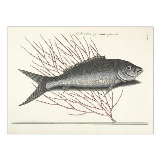 Decorative Painting Retro Fish Restaurant Hotel Paintings Animal Print Wall Pictures for Living Room Flatfish Wall Art Canvas