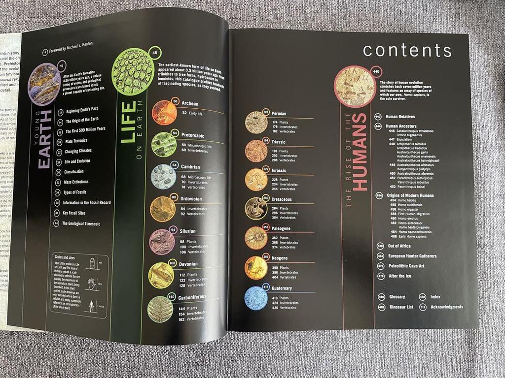 [USED] DK Foreign Books Hardcover PREHISTORIC Hardcover