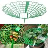 Strawberry Supports Stand Strawberry Plant Supports Cages Climbing Trelli