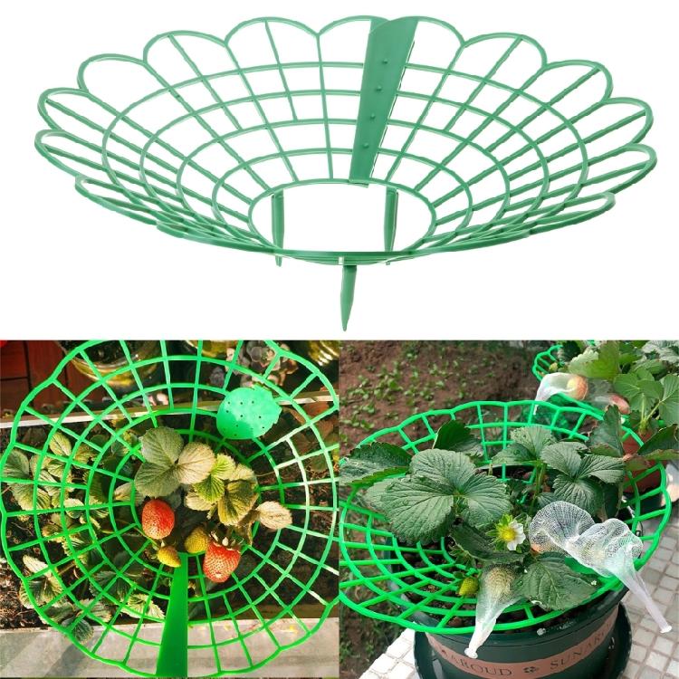 Strawberry Supports Stand Strawberry Plant Supports Cages Climbing Trelli