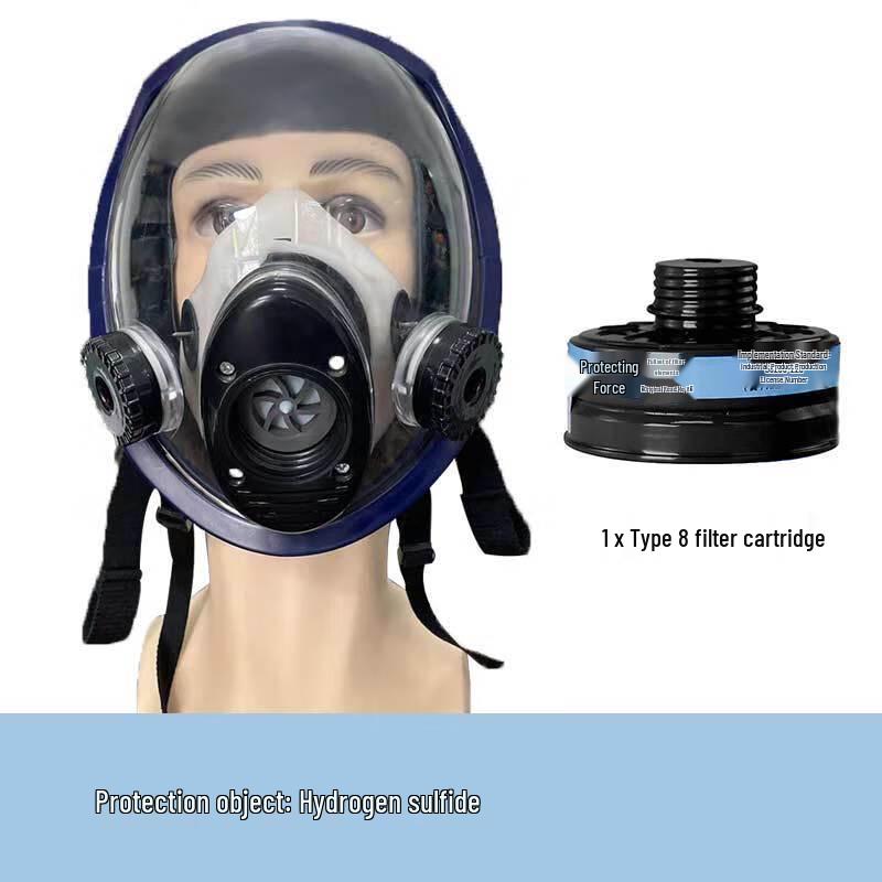 Longchan CF02 Spherical Full Face Gas Mask