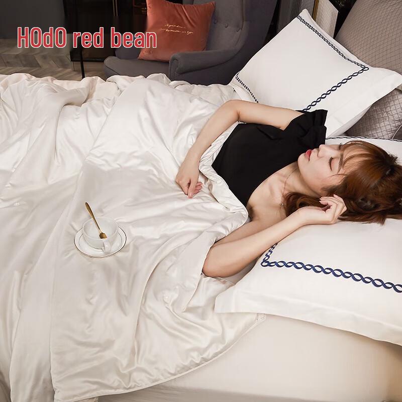 HONGDOU 100% Mulberry Silk All-Season Comforter