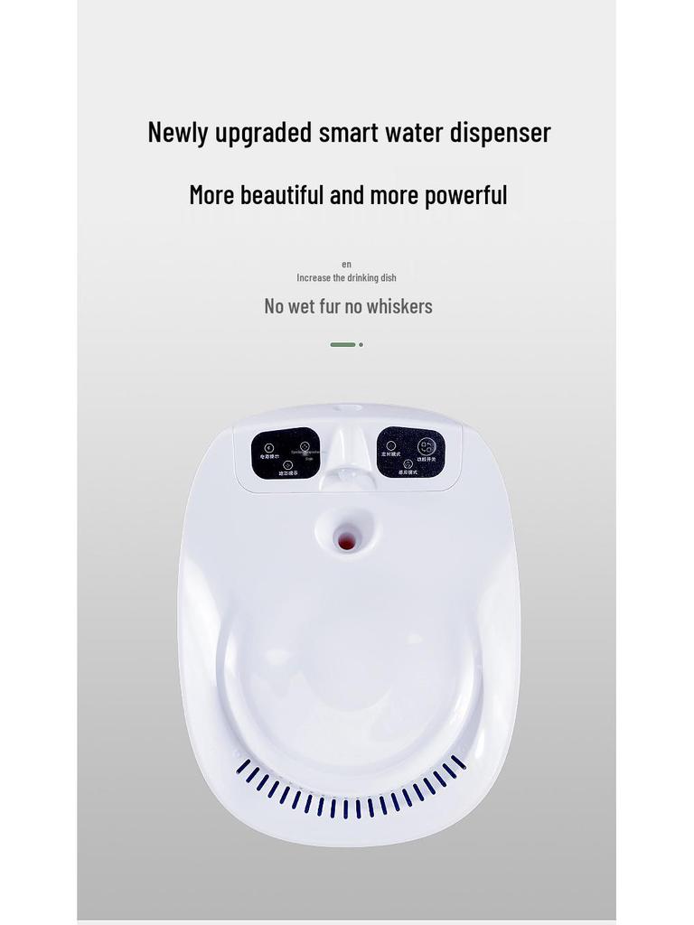 Automatic USB Pet Water Fountain with Circulating Filtration for Cats