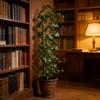 1pc Modern Diamond-Shaped Plant Stand Indoor Climbing Plants Supports Iron Stand For Ironwood Ivy Roses Gardening Accessories