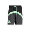 Casual Shorts Men's Black Moderate IC1955