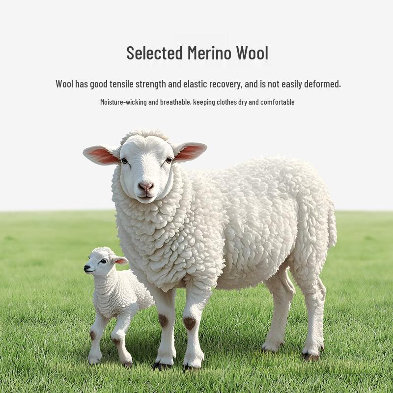 MONTAGUT Heren Wollen Mix Polo Trui met Lange Mouwen