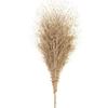 Deaite Bamboo Road Sweeping Broom