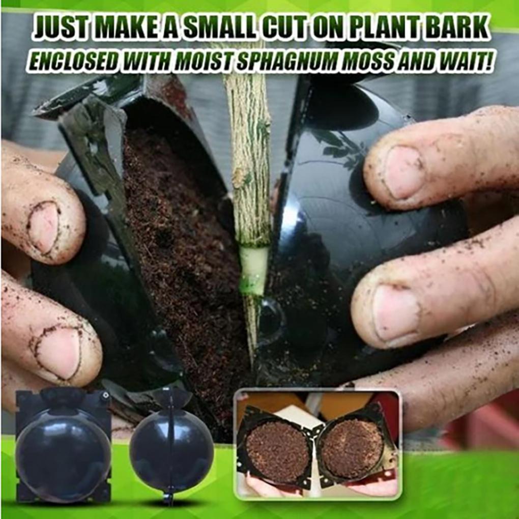 Plant Root Growing High Pressure Plant Rooting Box Propagation Ball Garden Tools